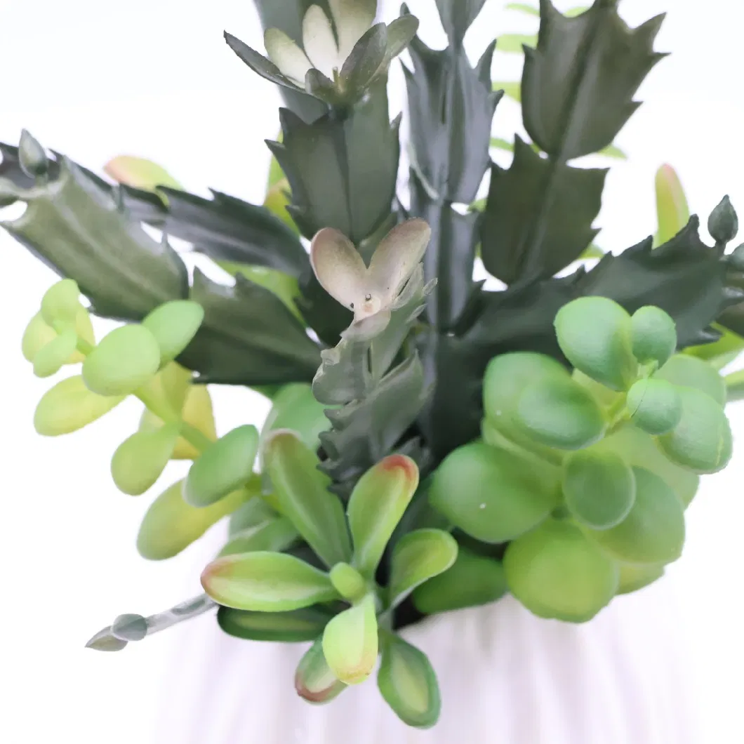 Colorful Simulation Artificial Plastic Potted Plants Succulent Plants Bonsai for Table Decoration